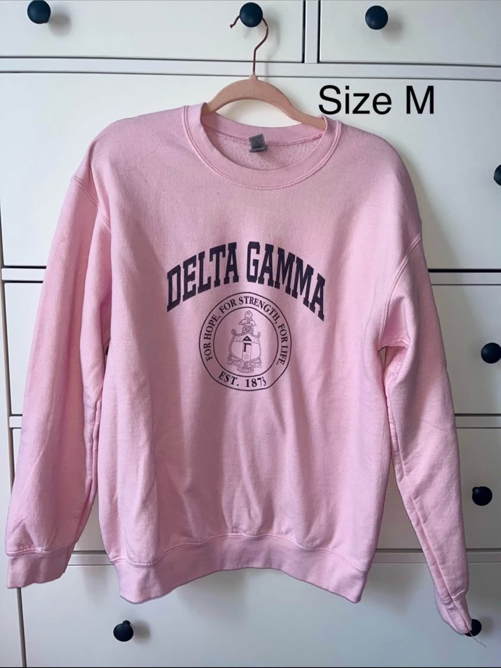 Delta Gamma pink sweatshirt